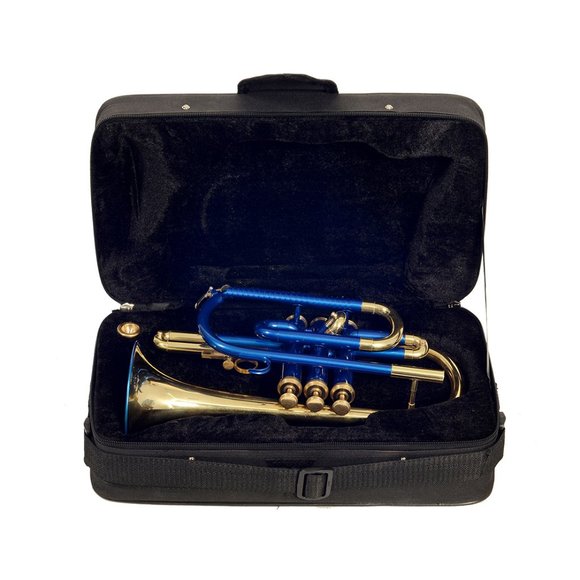 Brass wind instrument decoration M